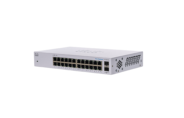 Cisco CBS110-24T-EU Unmanaged 24-Port Gigabit Ethernet SFP Switch