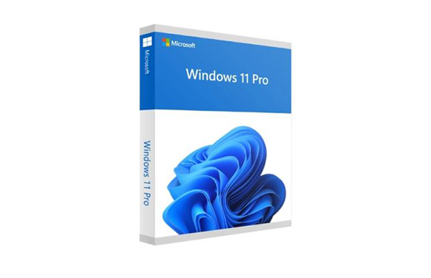 Licensed Windows 11 Pro x64 Eng Intl 1pk DSP OEI DVD (FQC-08929) / SKU FQC-10529  (LC) USA