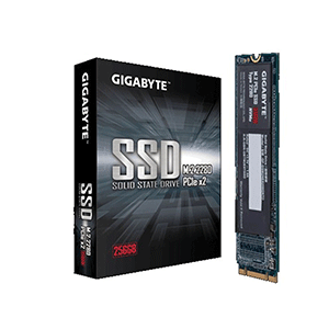 GIGABYTE M.2 PCIe SSD 256GB